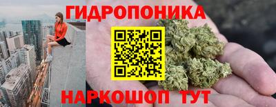 Альфа ПВП Владивосток