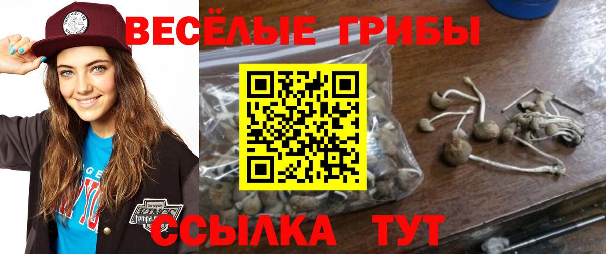 Галлюциногенные грибы ЛСД Белорецк